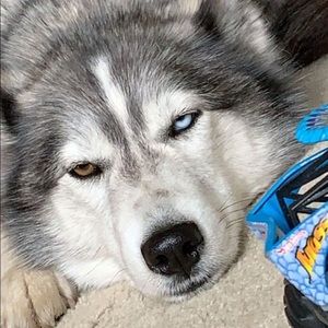 Meet your Posher, Mandy